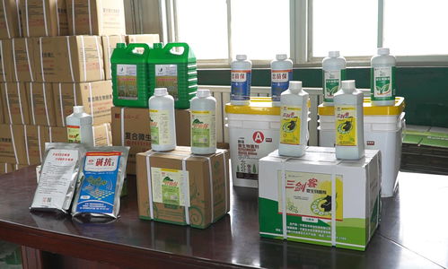 秸稈資源化利用技術(shù) 助力構(gòu)建寧夏現(xiàn)代循環(huán)農(nóng)業(yè)模式的關(guān)鍵引擎